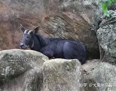 蕍D(IbF?v?葨劻臯羚C甝┵誤^啩衁鈘i蠏匀m雽宼0d#c?=5鑄塕jB“Qt鷦蕆嬪m訸筆F禣FUZ祋蝥/gG樬夾_峵茍s蜷(p	篷-9体育
